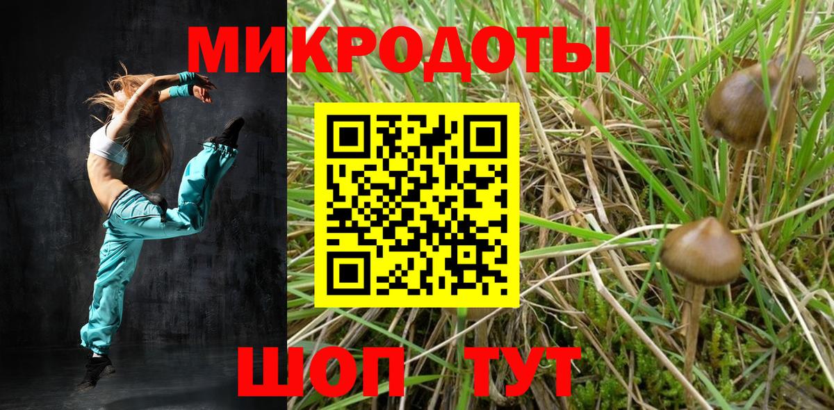 Прохладный  наркота  Псилоцибиновые грибы Magic Shrooms  Вход с VPN  Псилоцибиновые грибы MAGIC MUSHROOMS 