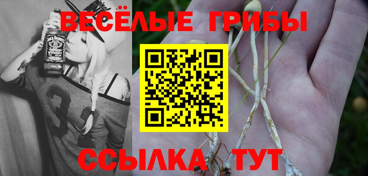 Галлюциногенные грибы MAGIC MUSHROOMS Прохладный